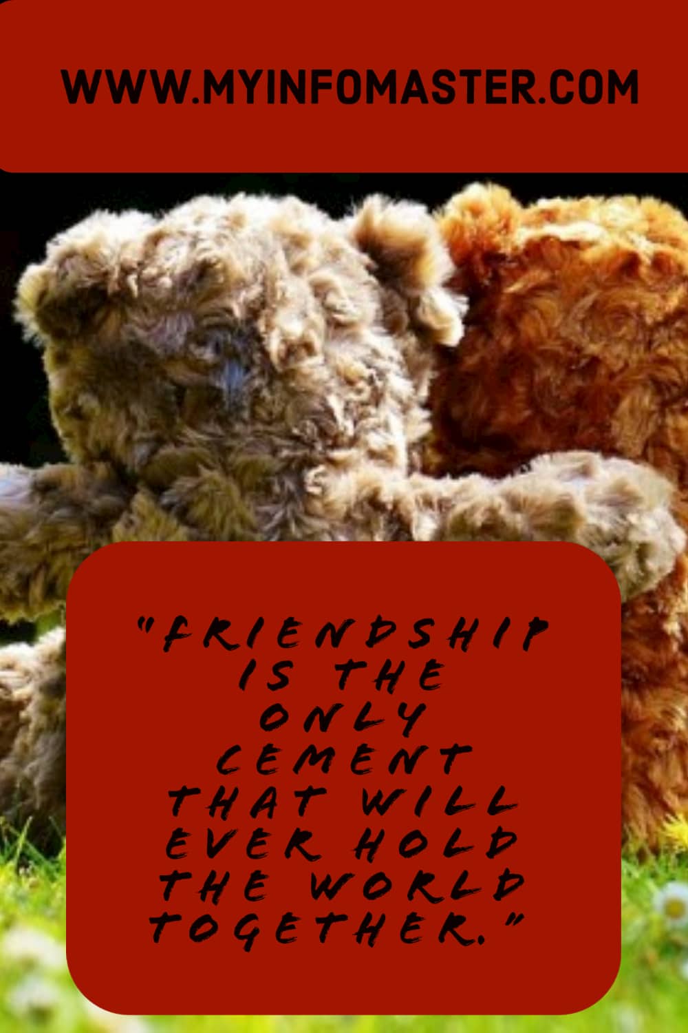 friendship quotes, best friend quotes, friendship day quotes, fake friends quotes, bff quotes, funny friendship quotes, true friendship quotes, best friend status, short friendship quotes, short best friend quotes, friendship quotes in hindi, good friends quotes, friendship quotes in English, good morning quotes for friends, real friends quotes, best friends forever quotes, friendship quotes and sayings, old friends quotes