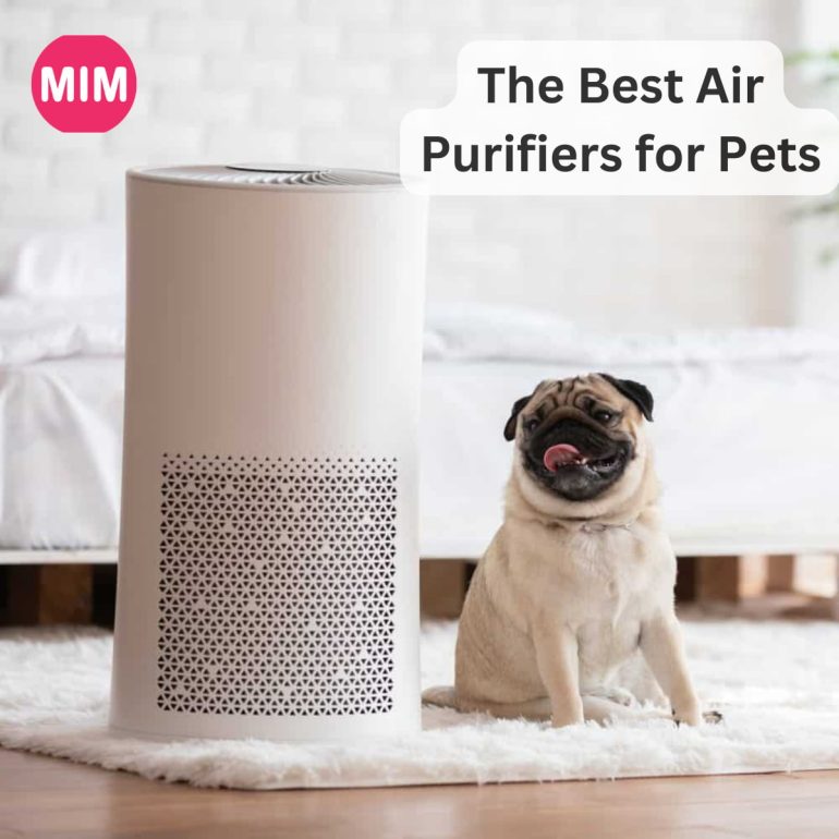 Air Purifiers, Air Purifiers for Pet, The Best Air Purifiers for Pet, Levoit Core 300 Air Purifier, Winix 5300-2 Air Purifier, Honeywell HPA300 Air Purifier