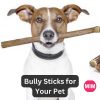 The Best Bully Sticks for Your Pet, Best Bully Sticks, Standard Bully Sticks, Benebone Wishbone Bully Stick, Earth Animal No-Hide Stix , best bully sticks for dogs