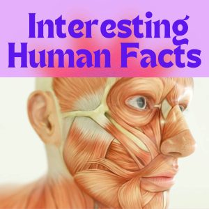 Human Facts, Human body Facts, Interesting Human Facts, facts, Amazing facts, Cool facts, weird facts, Mind blowing facts