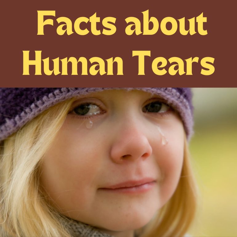 Human Tears, Facts about tears, human tears facts, Tears, 50 human facts, cool facts, interesting facts, Amazing facts