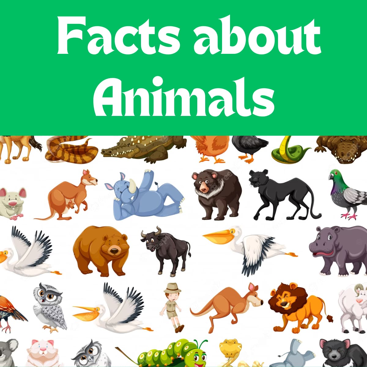 Facts about Animals, Animals, Animals, Facts, Cool facts, Amazing facts