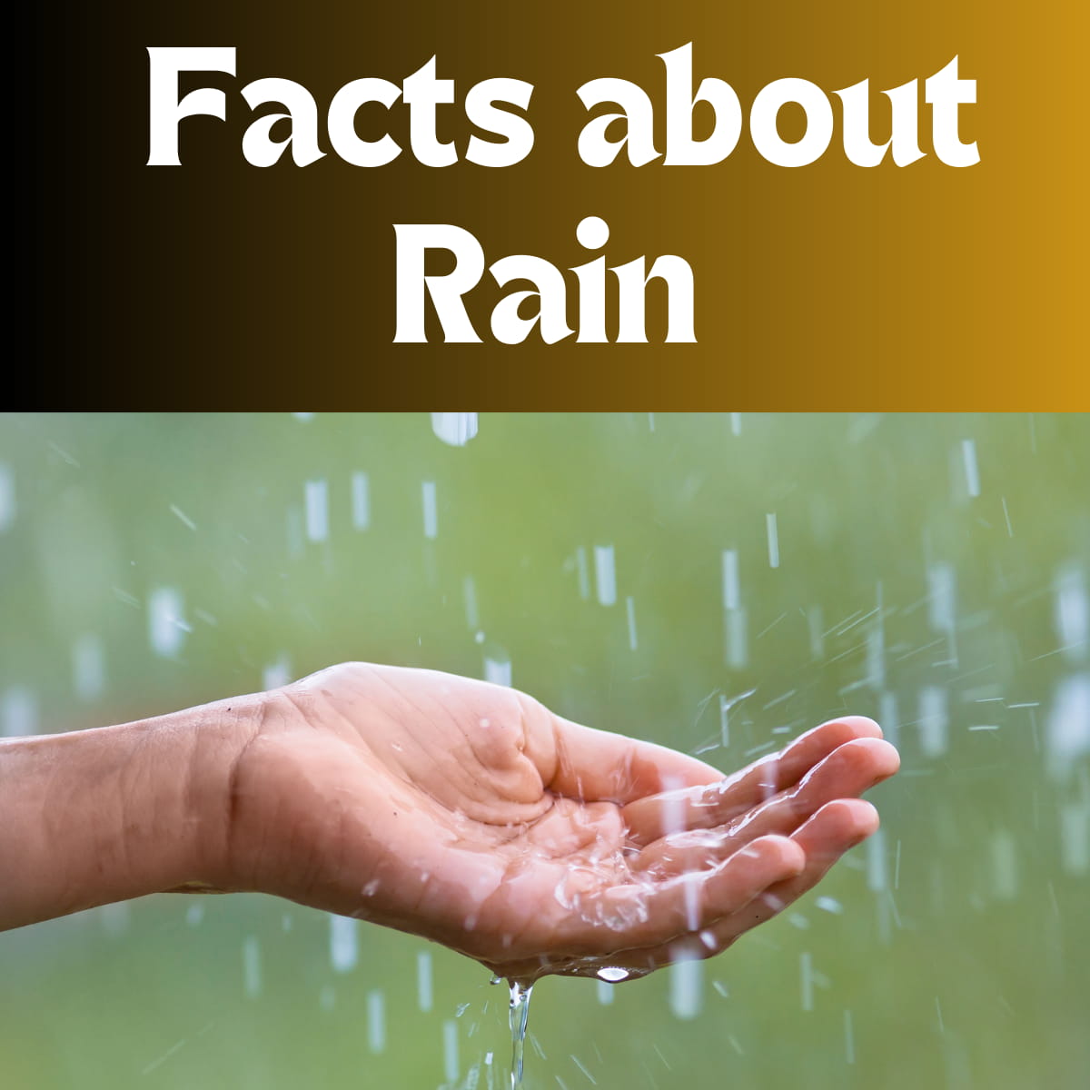Rain facts, facts about rain, Rain, Rain falling view, 50 Rain facts